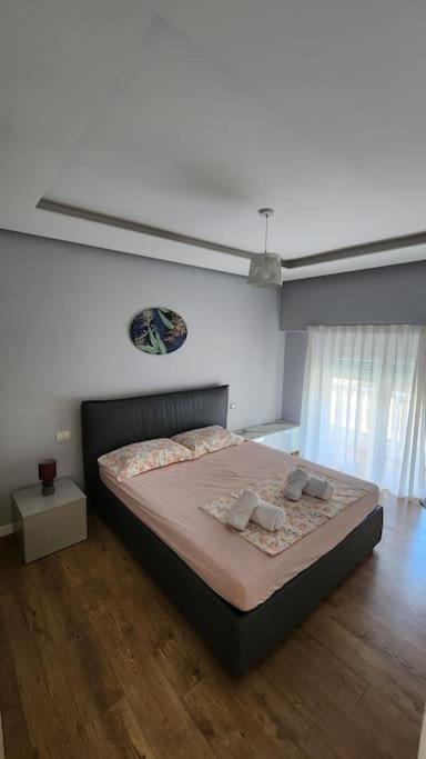 Cozy Midtown In Tirana